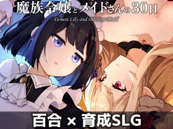 视觉数据5